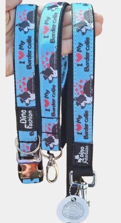 Dárek pro border kolii